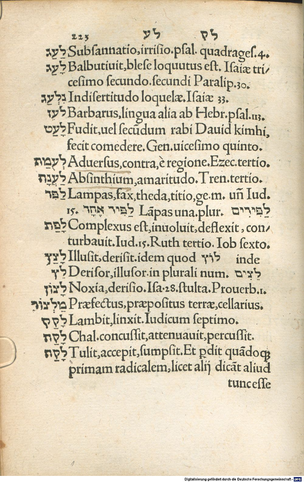 Image