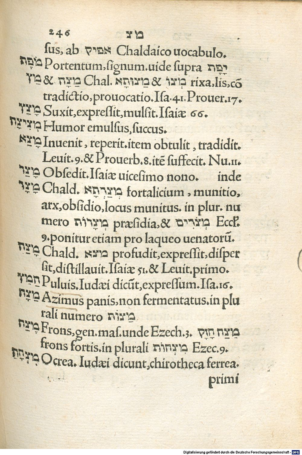 Image