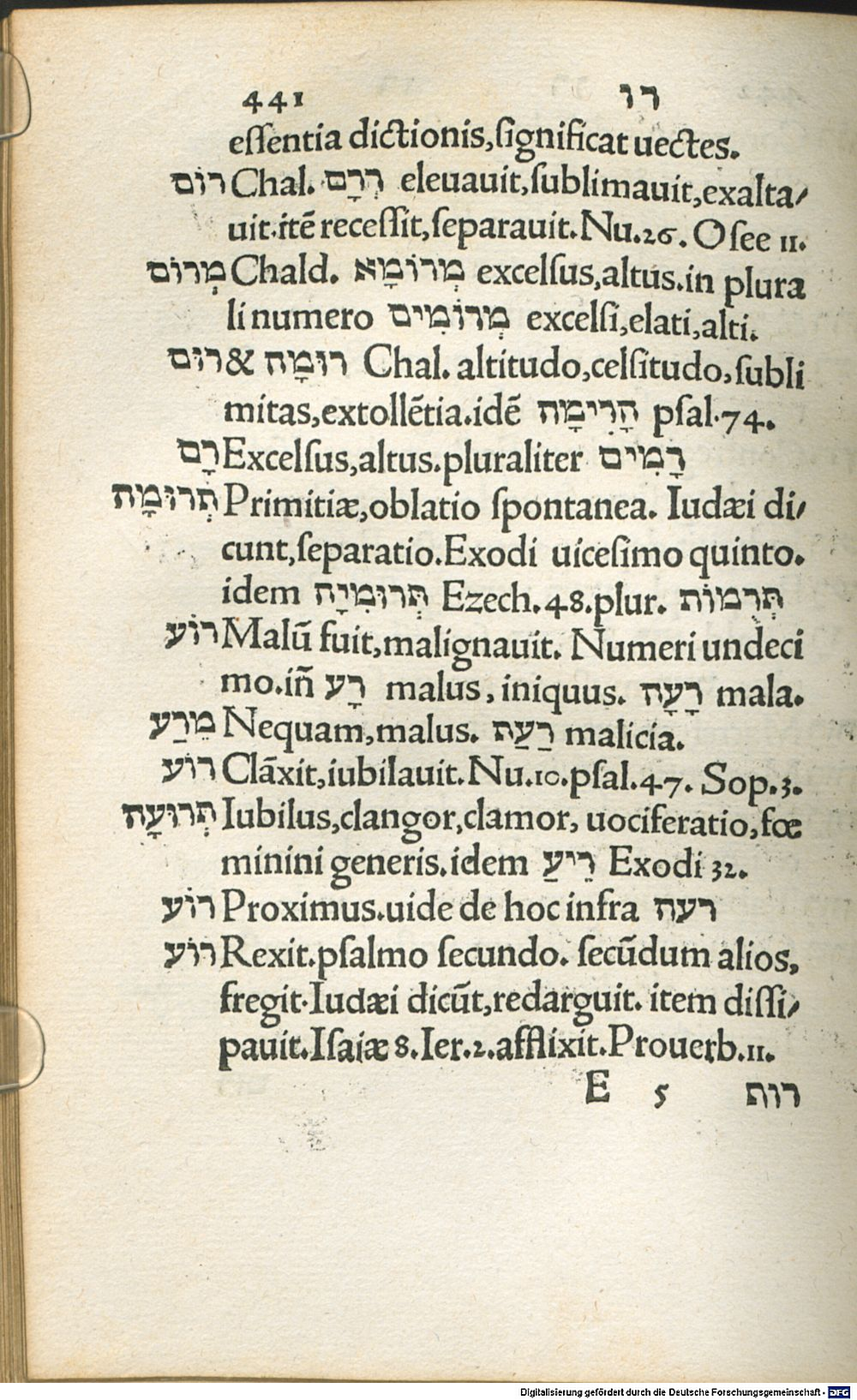 Image