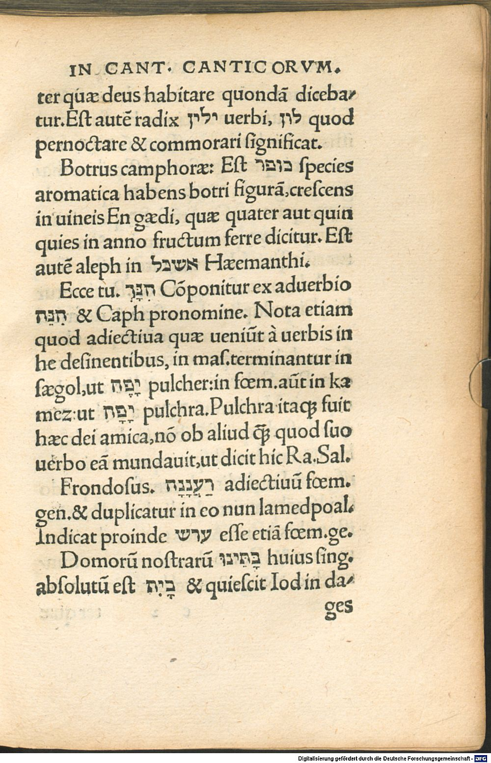 Image