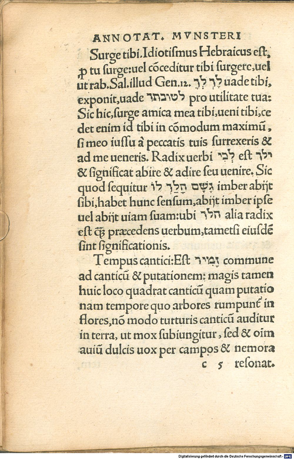 Image