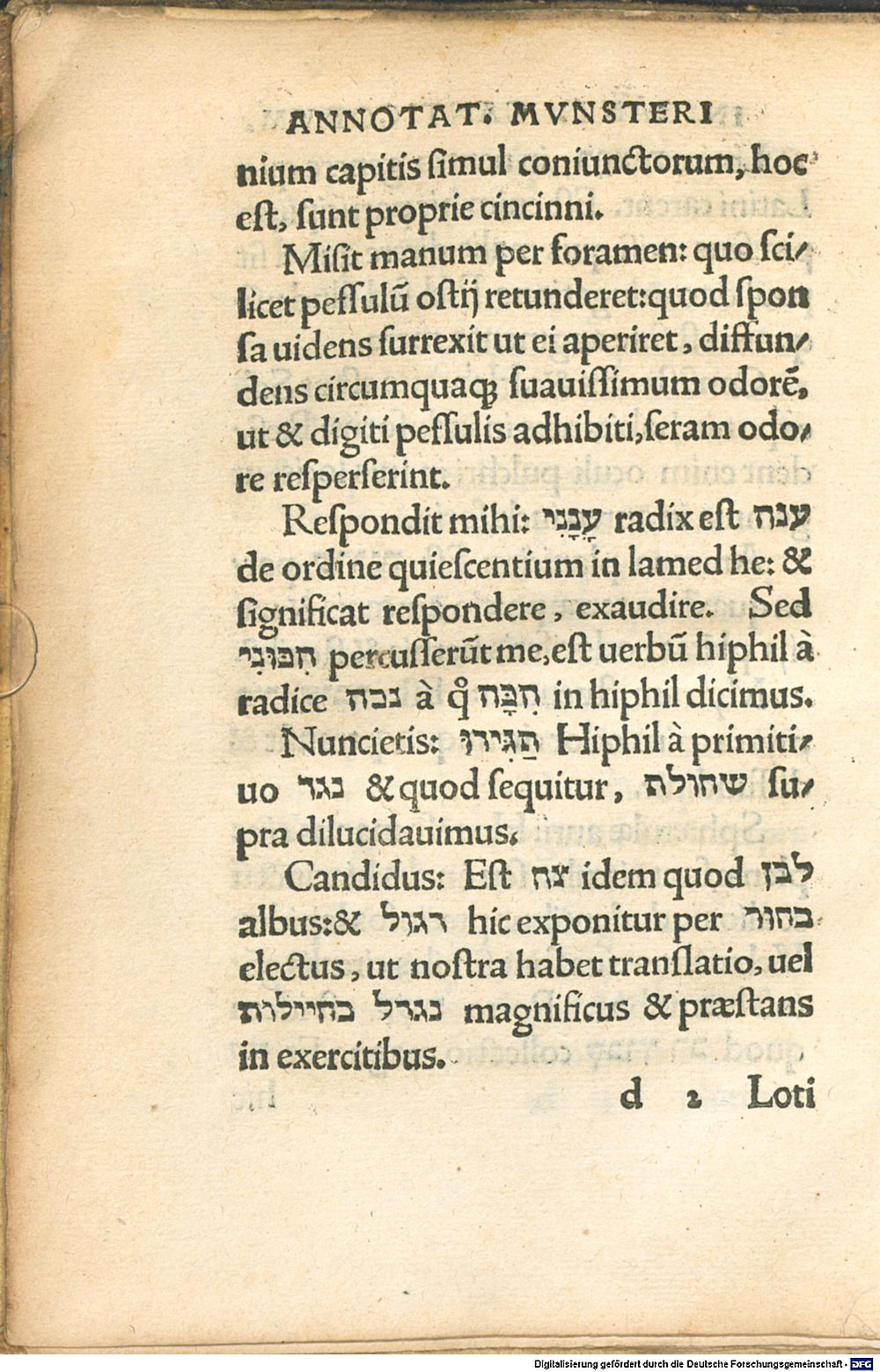 Image