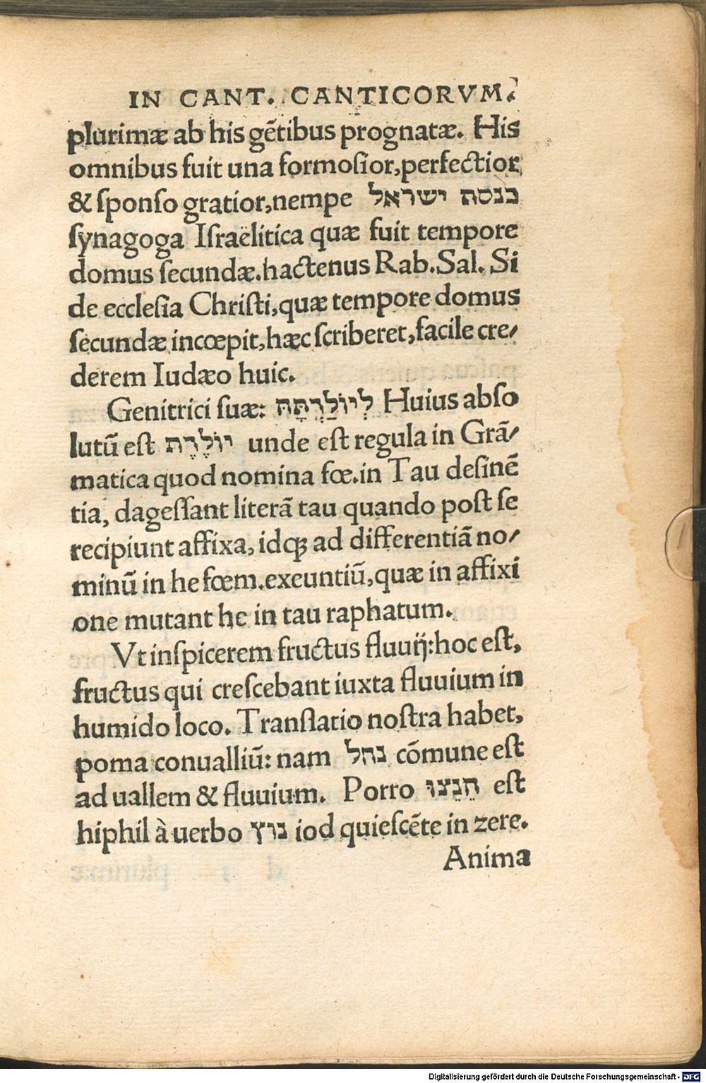 Image