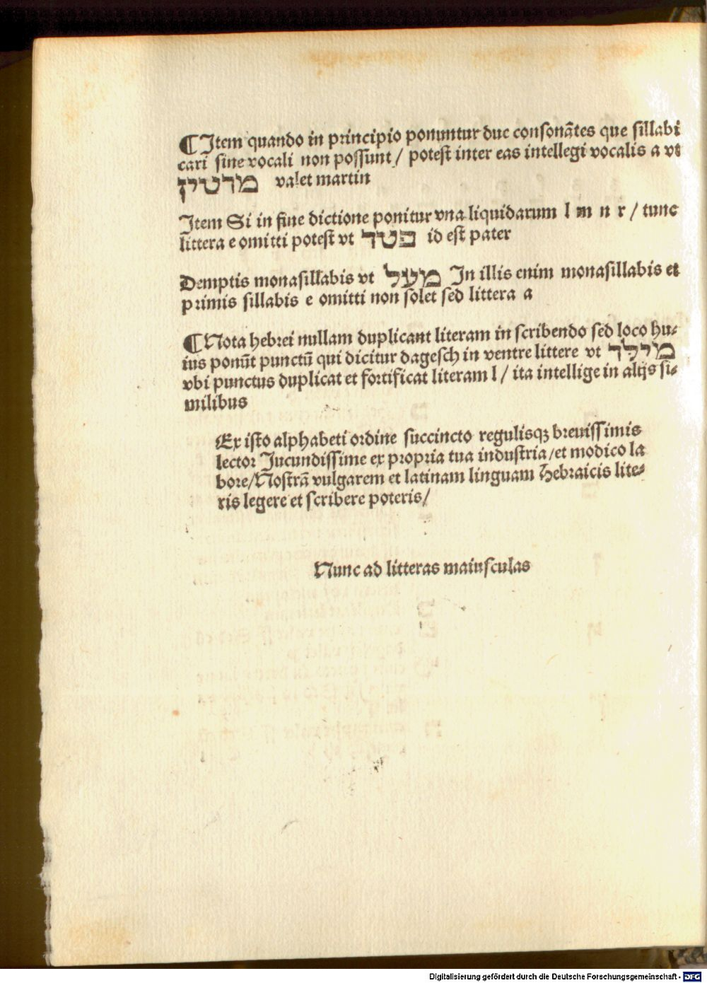 Image