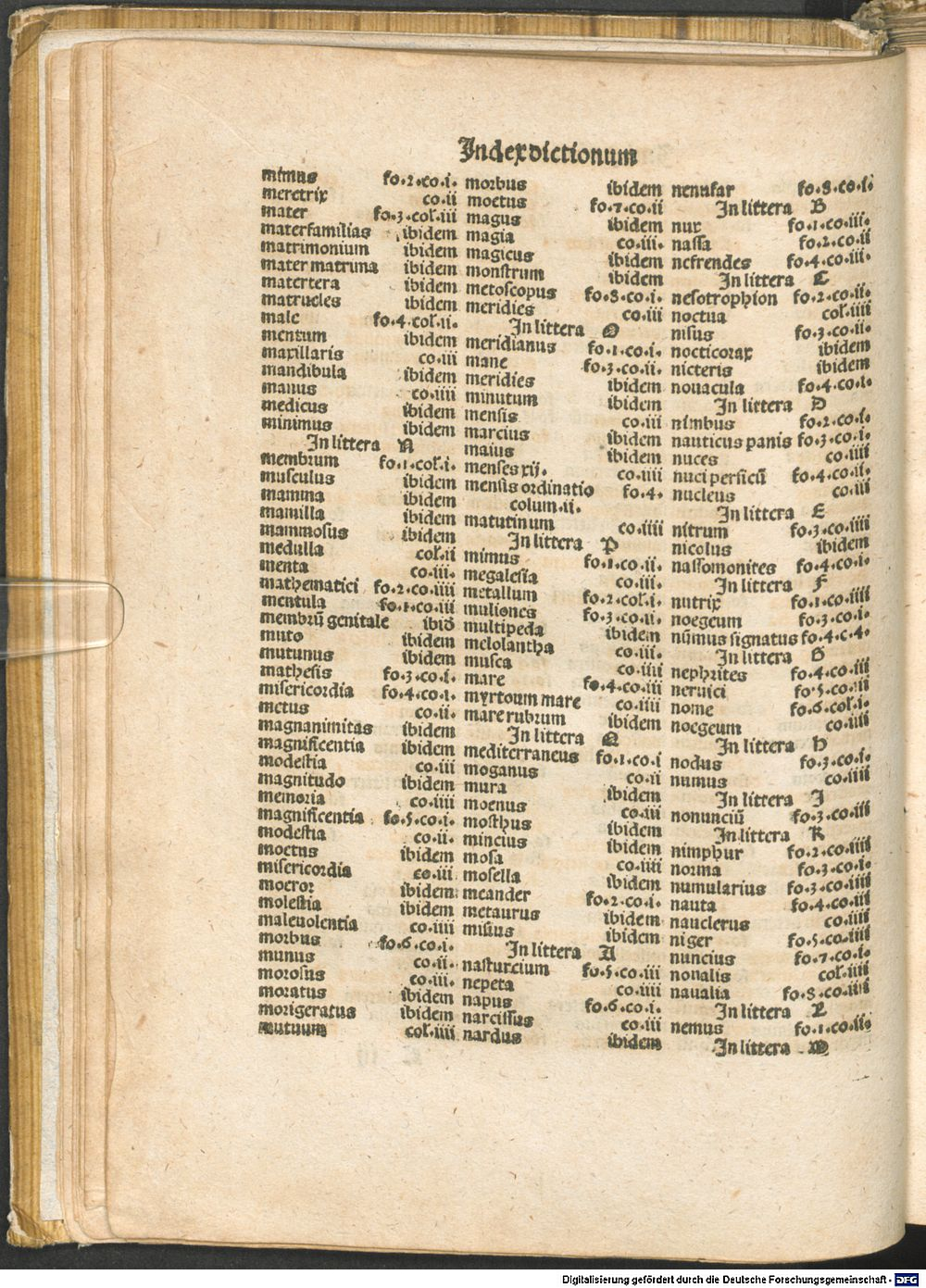 Image