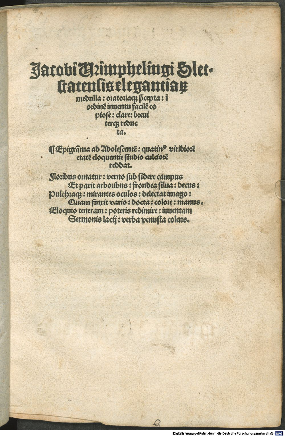 Image