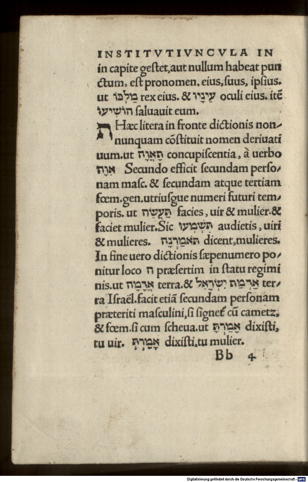 Image