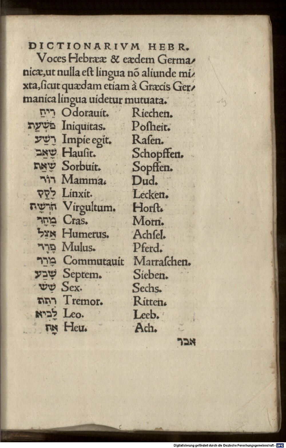 Image