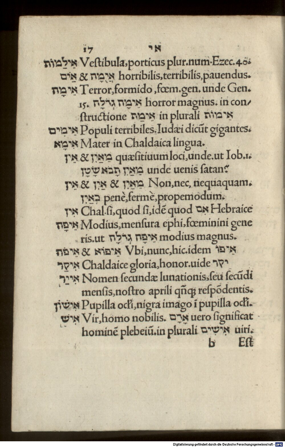 Image