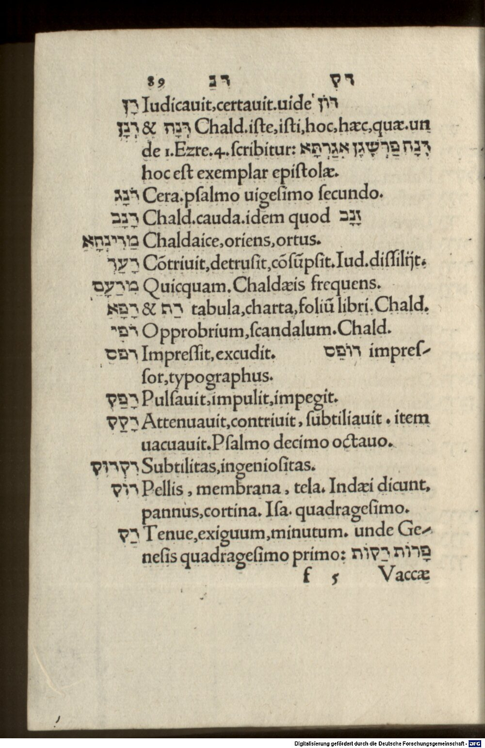 Image