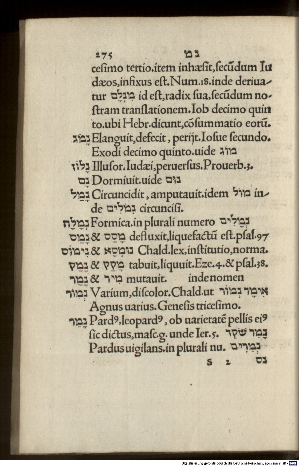 Image