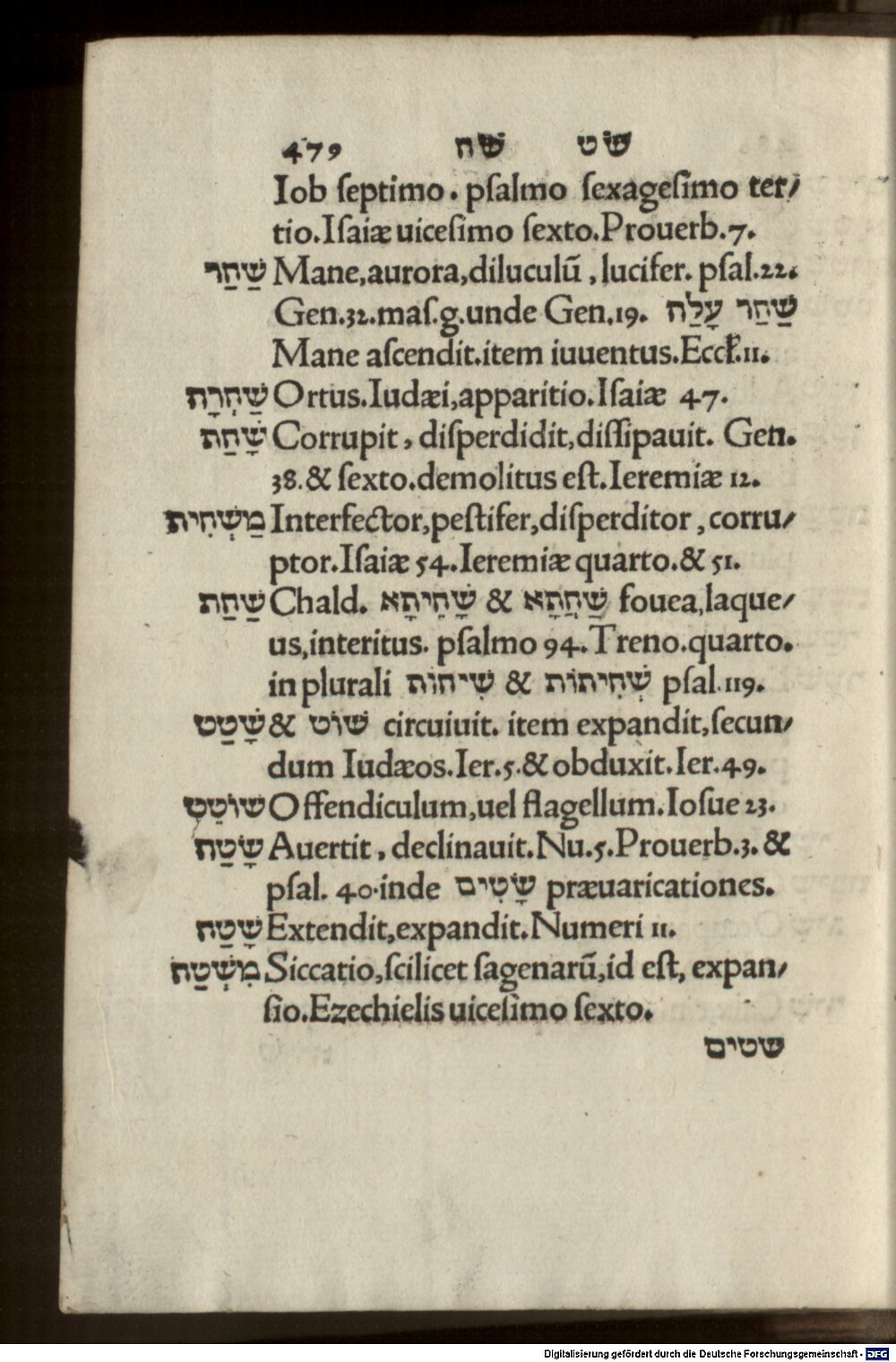 Image