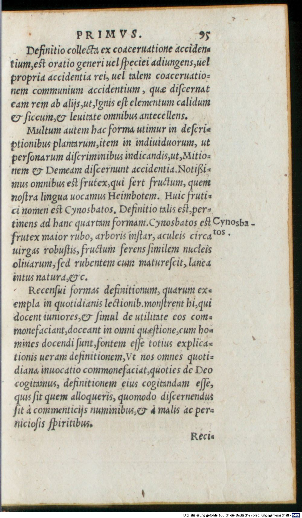 Image
