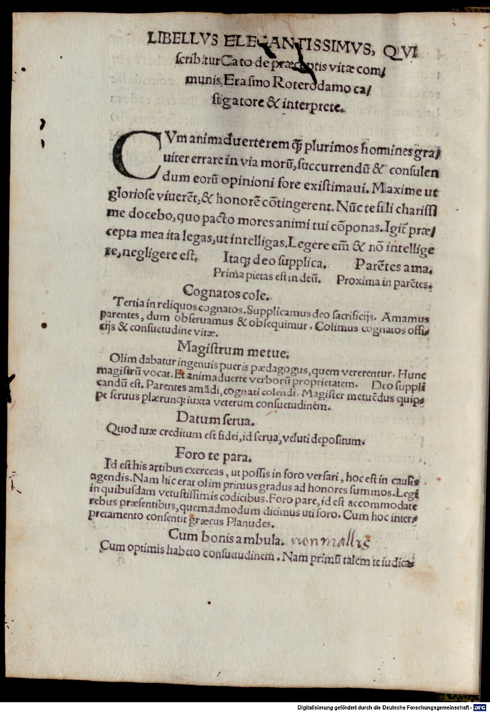 Image