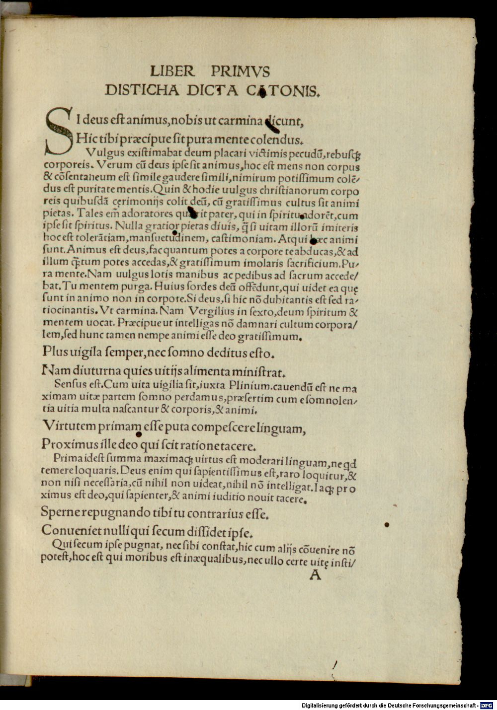 Image