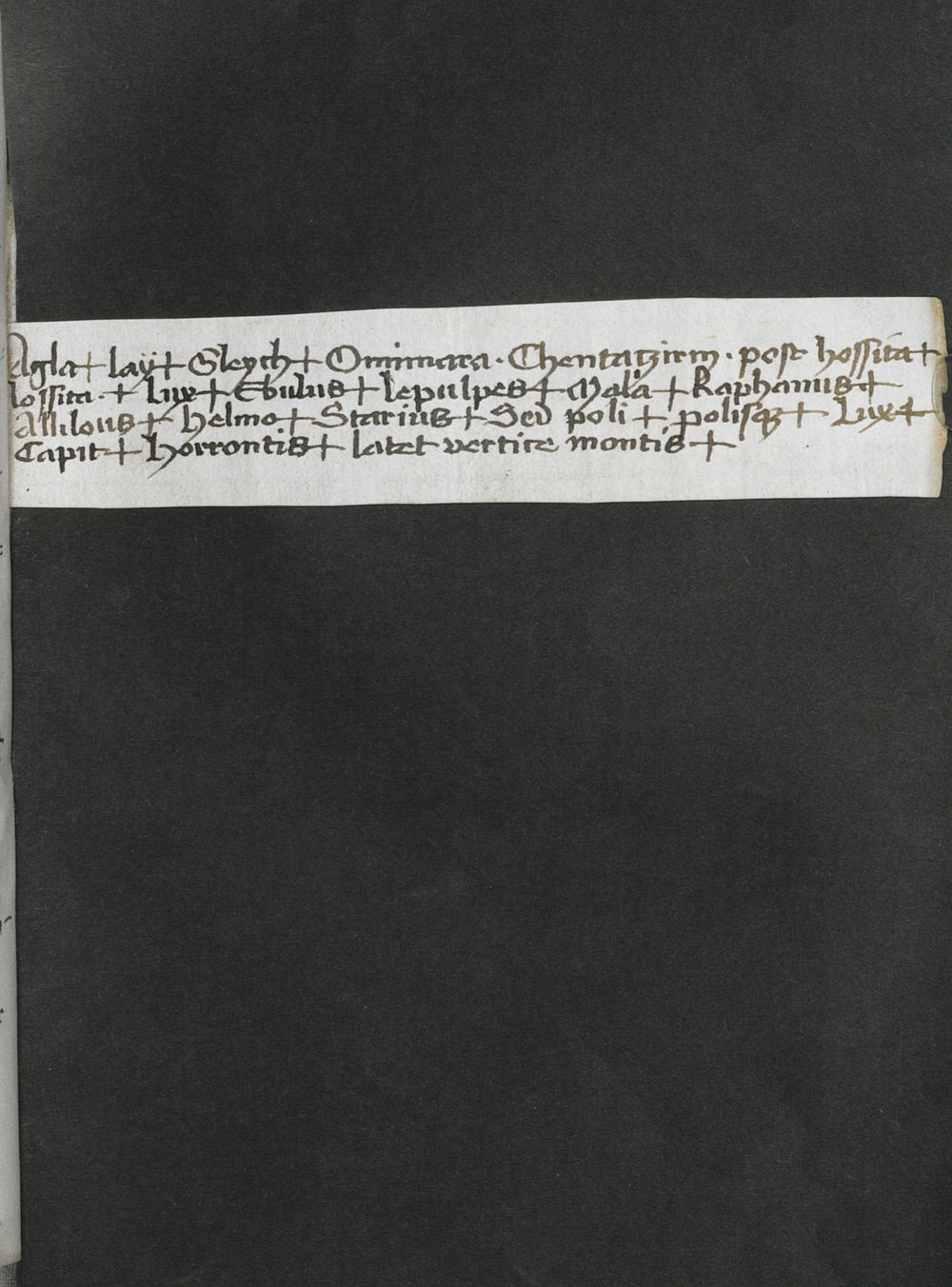 Image