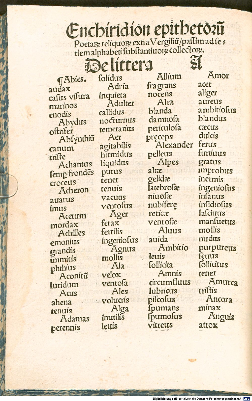 Image