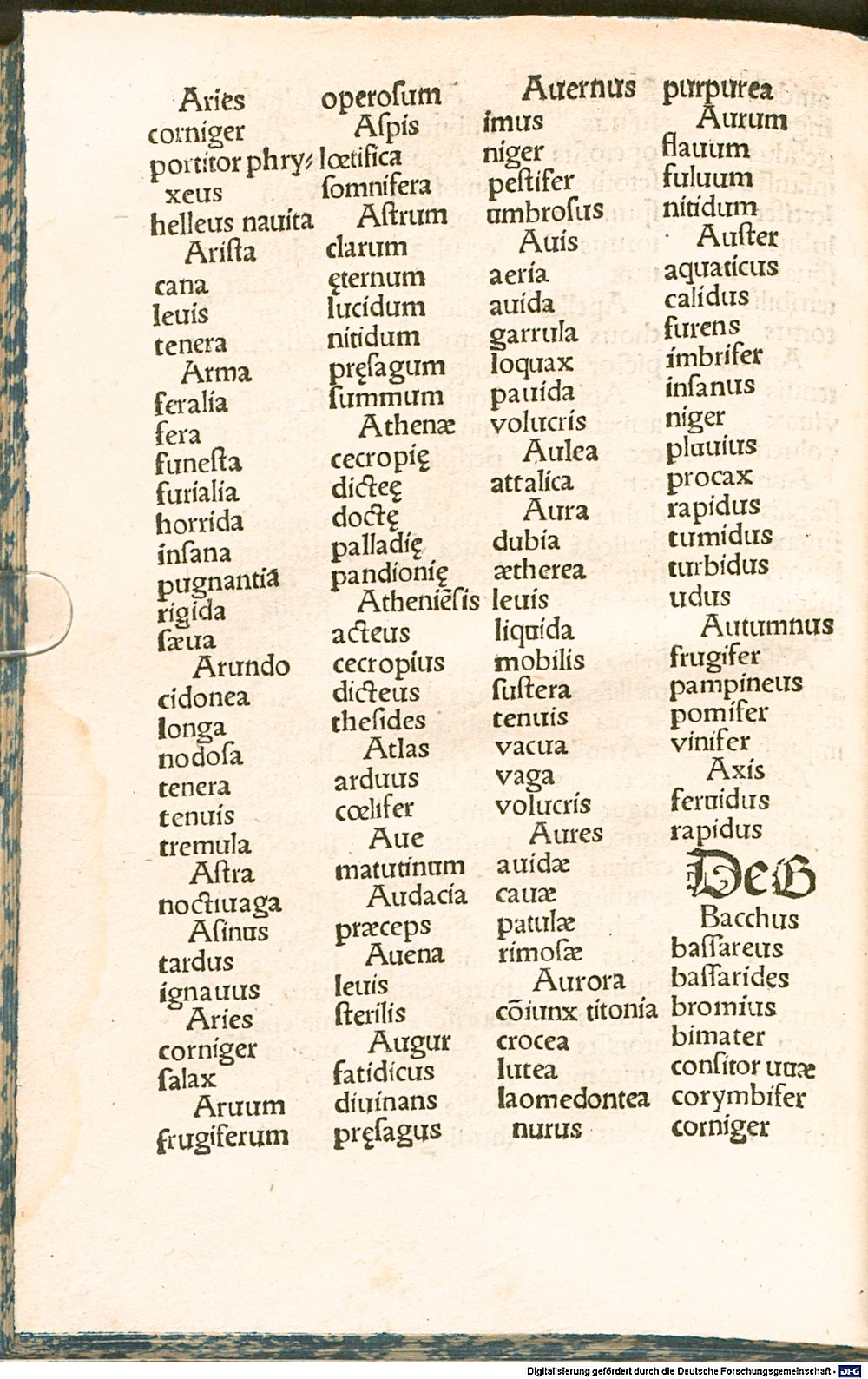 Image