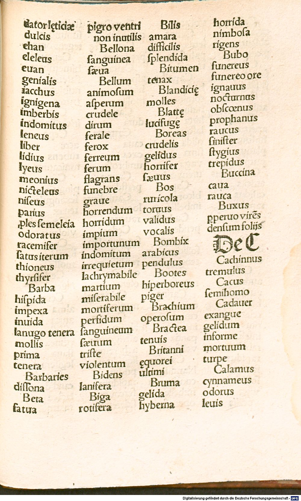 Image