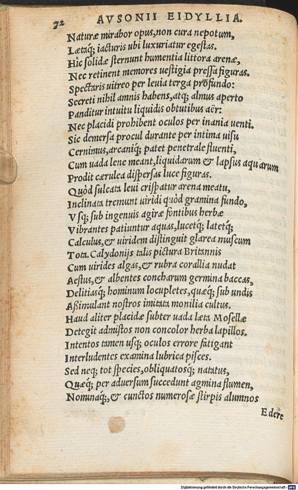 Image