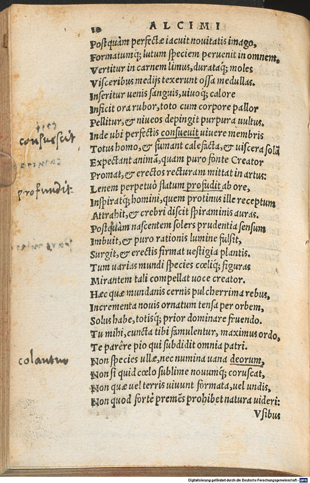 Image