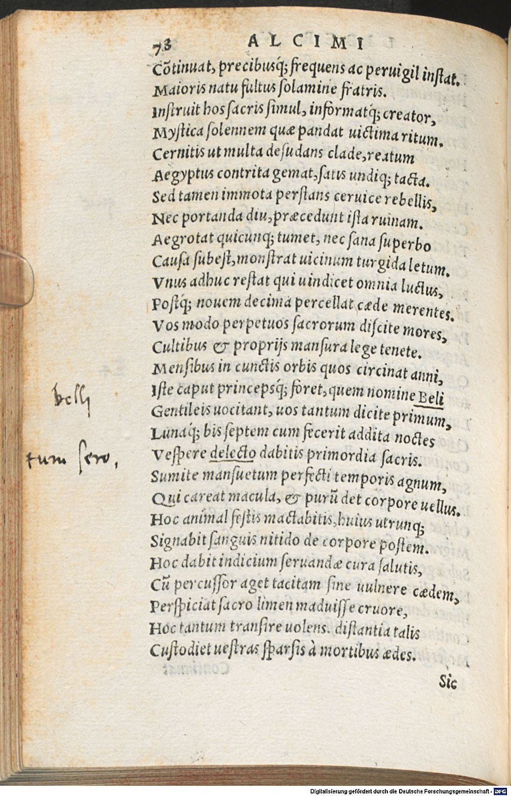 Image