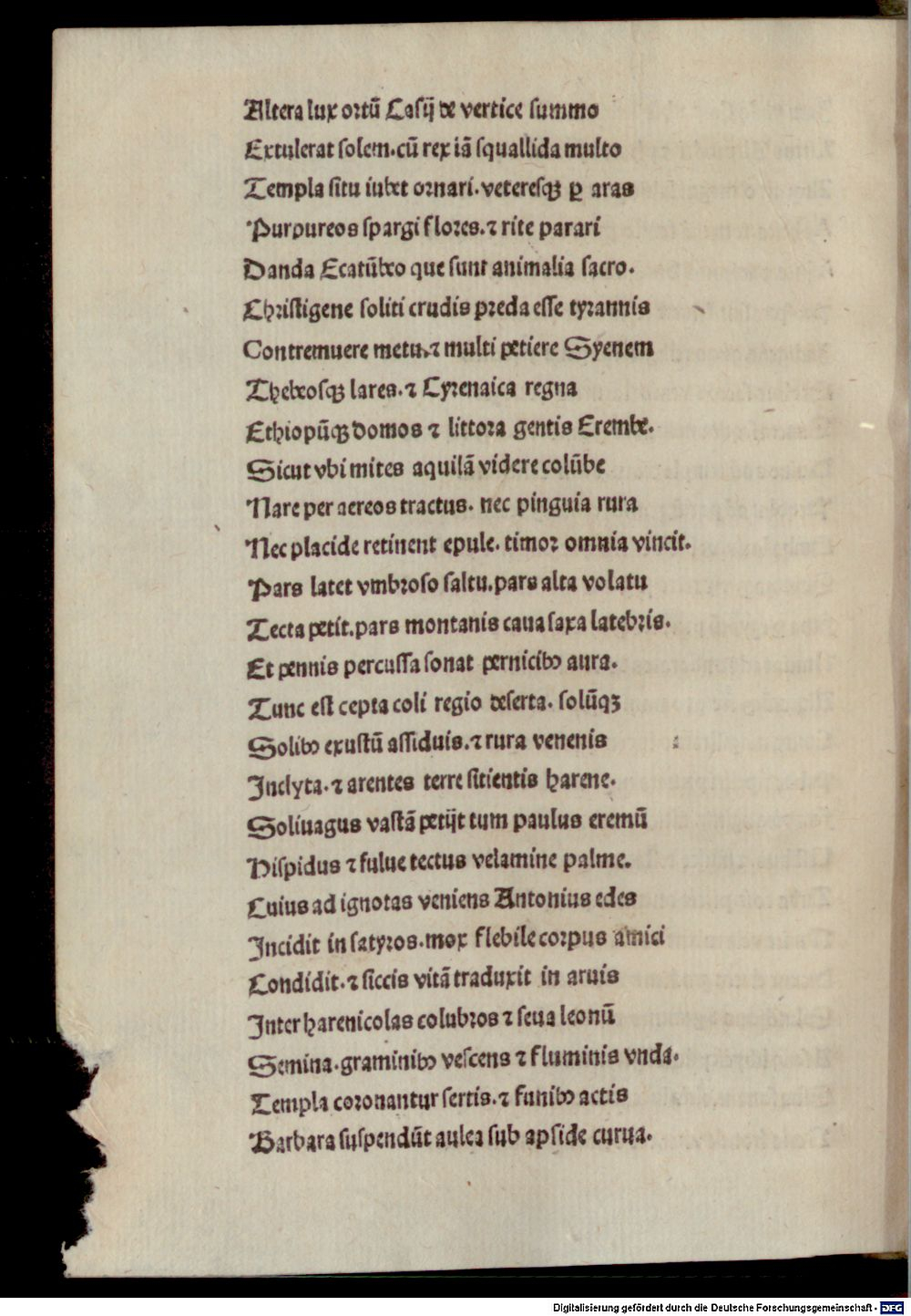 Image
