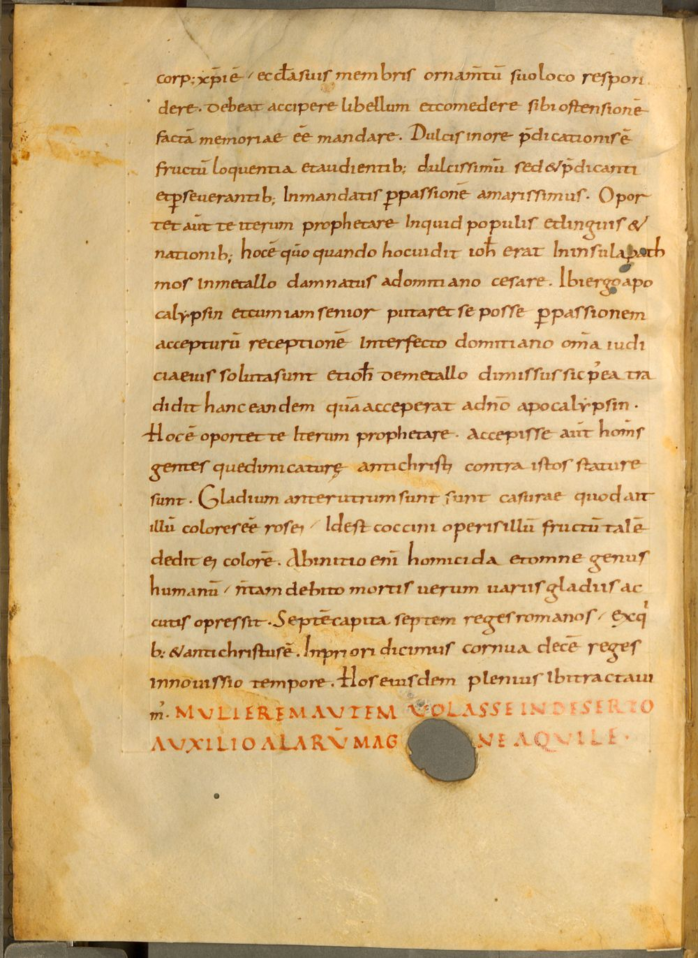 Image