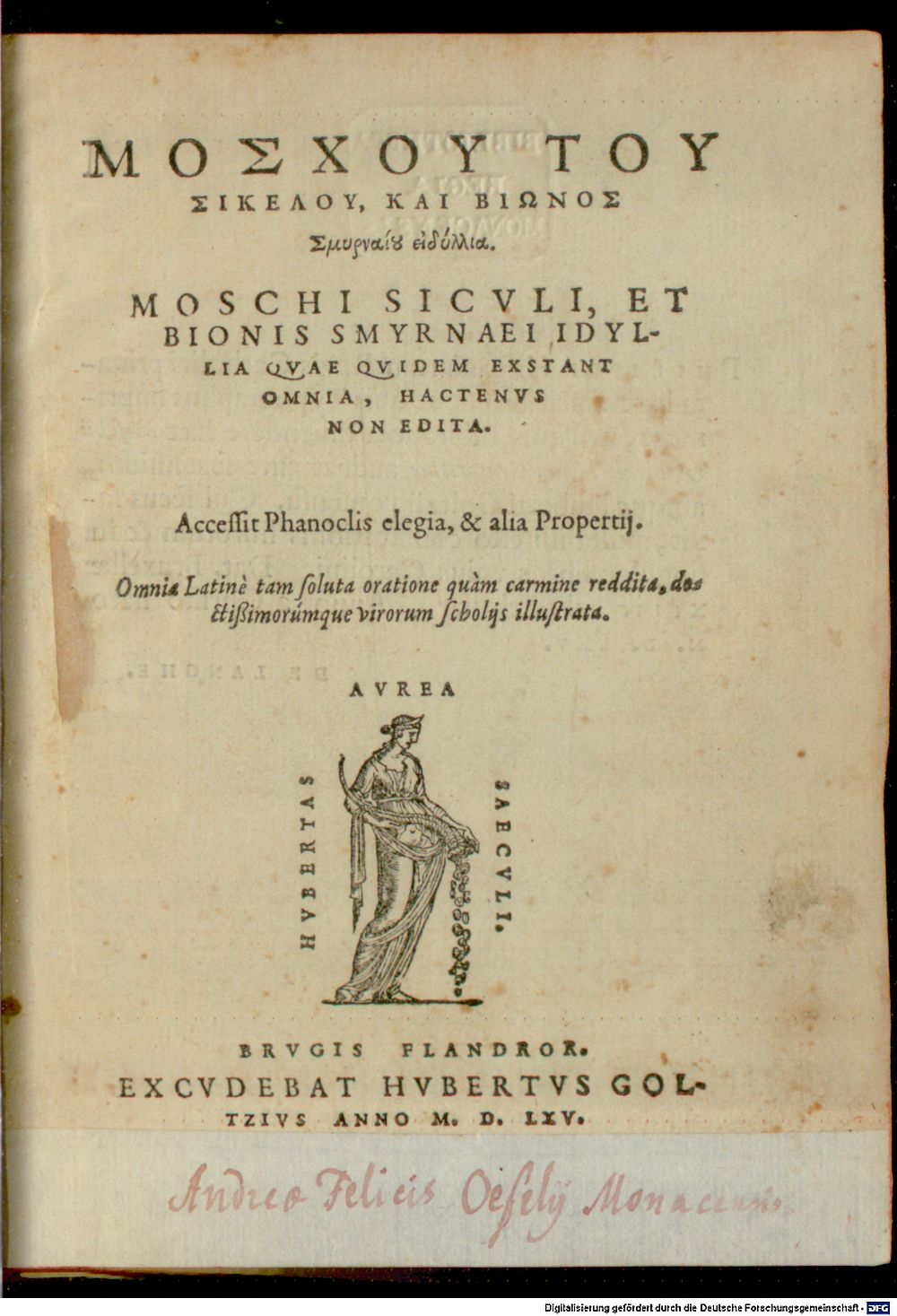 Image