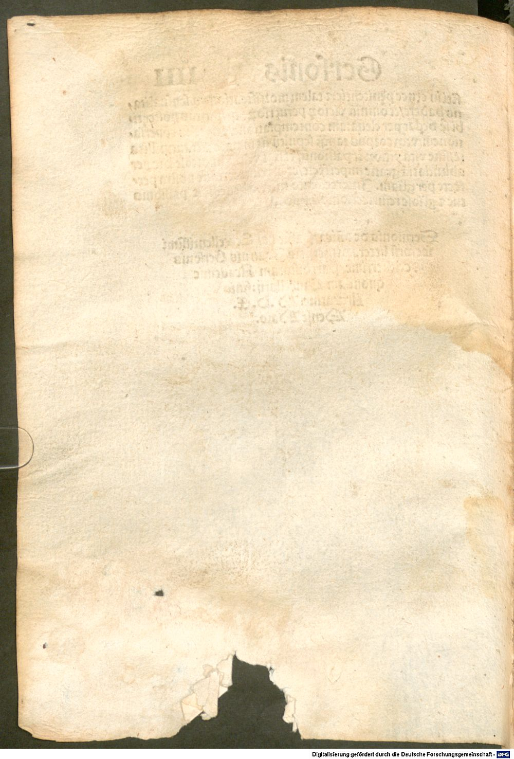 Image