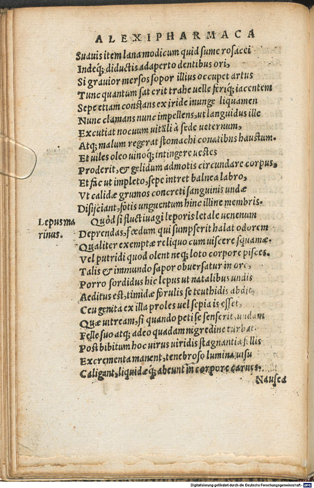 Image