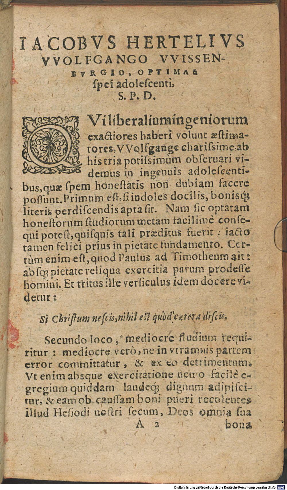 Image