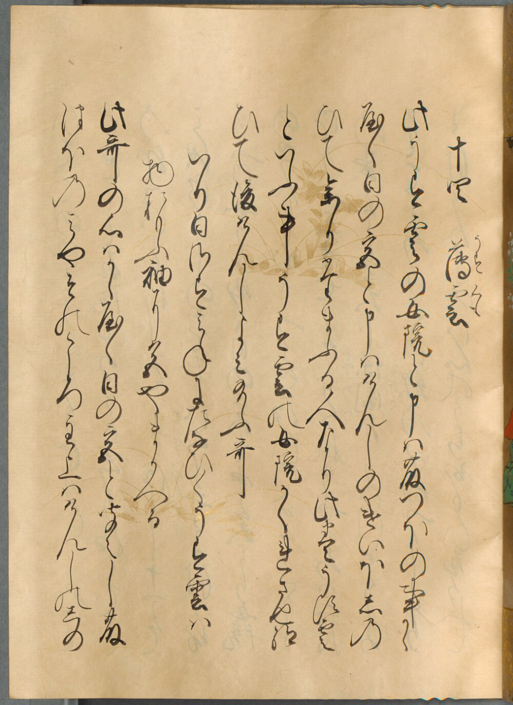 Image