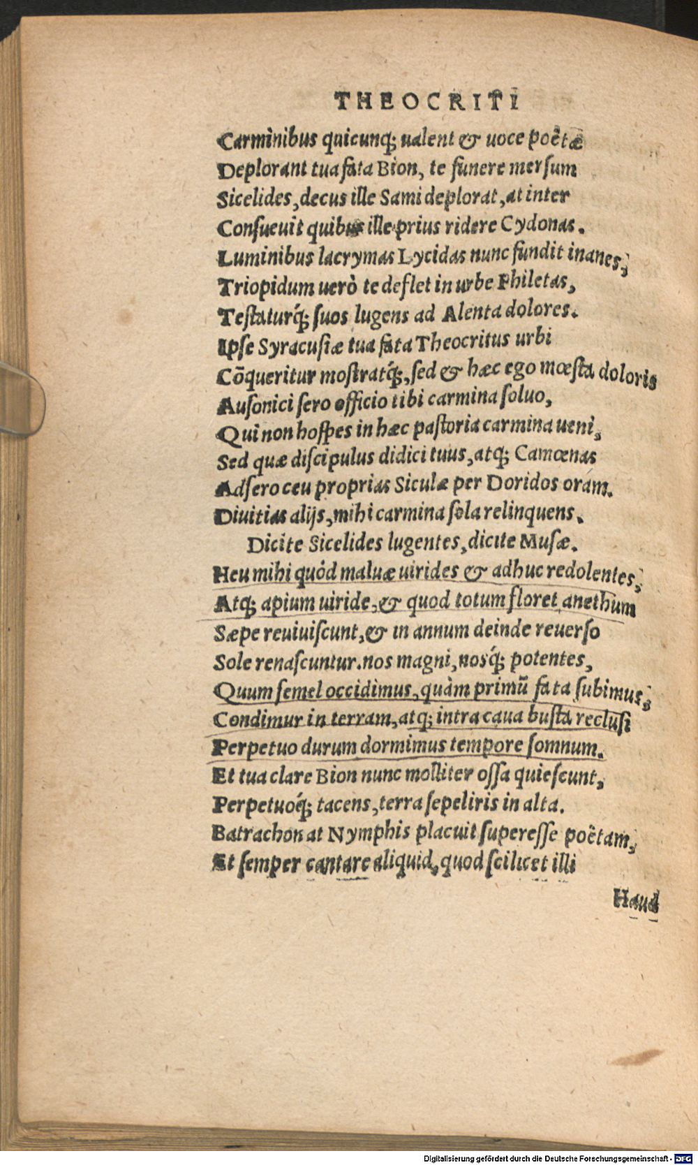 Image