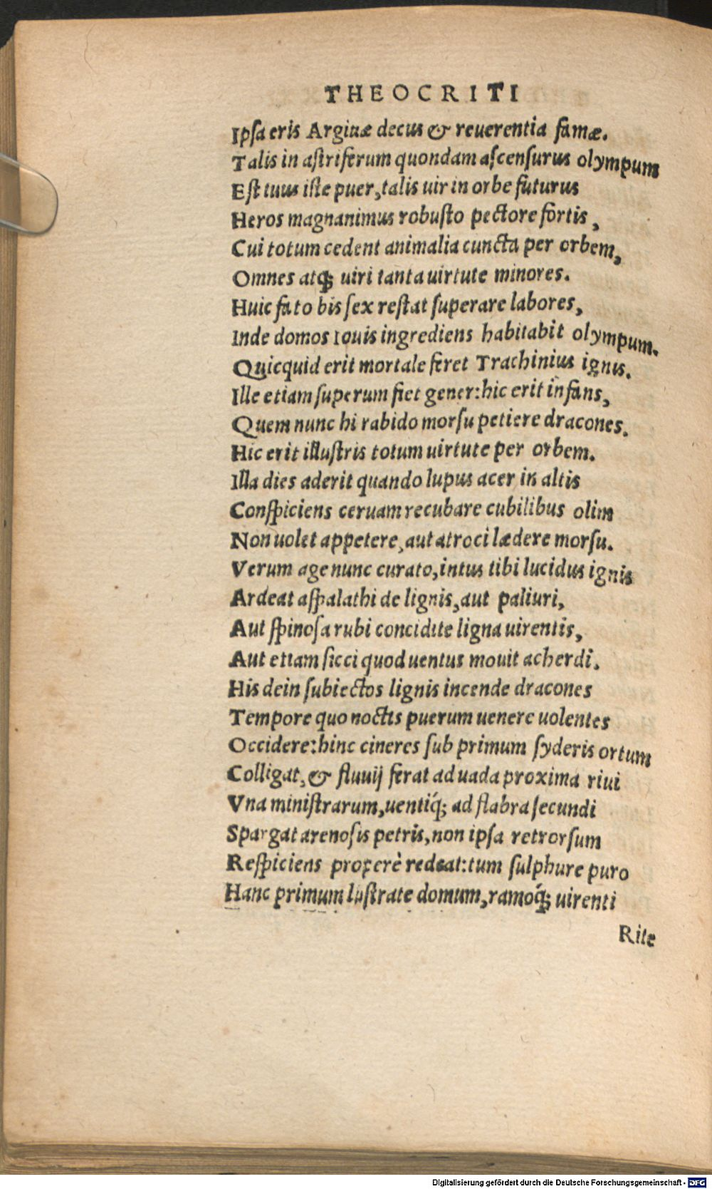 Image