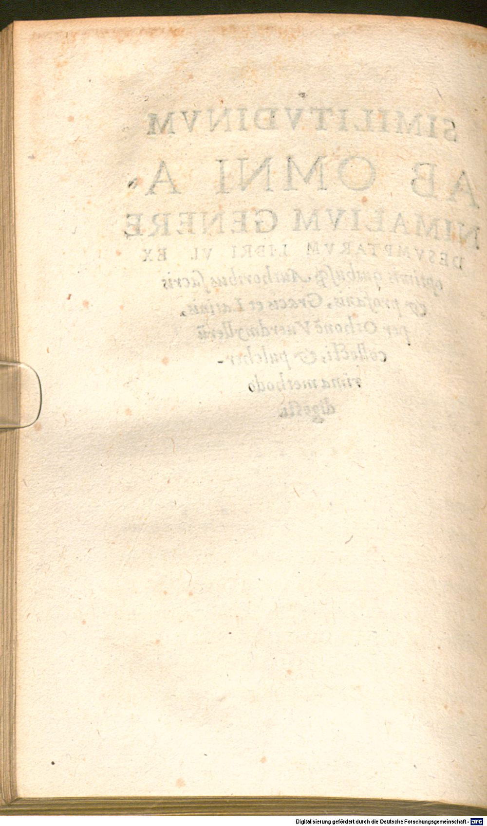 Image