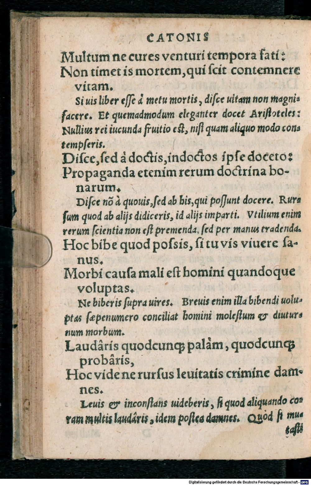 Image