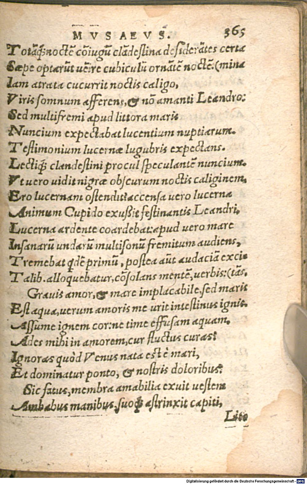 Image