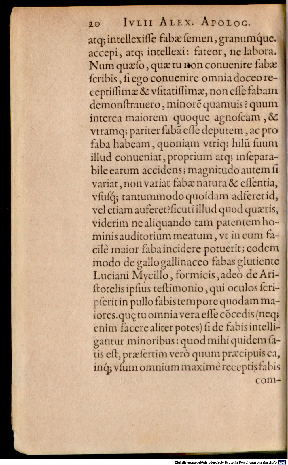Image