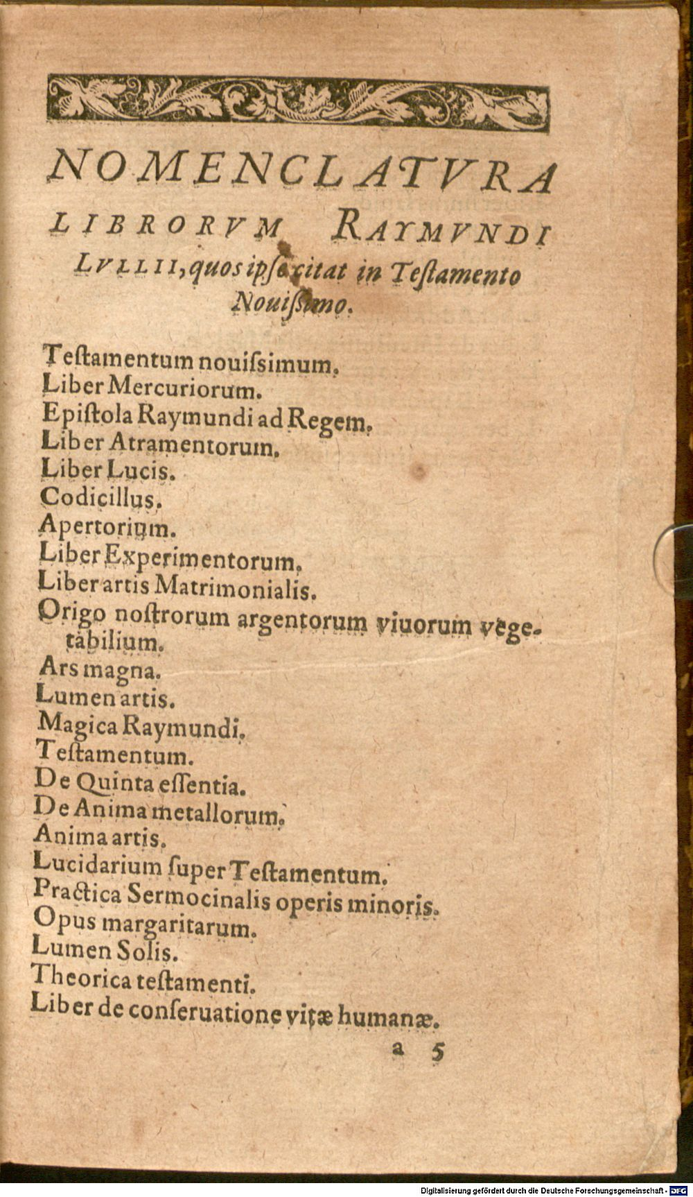 Image