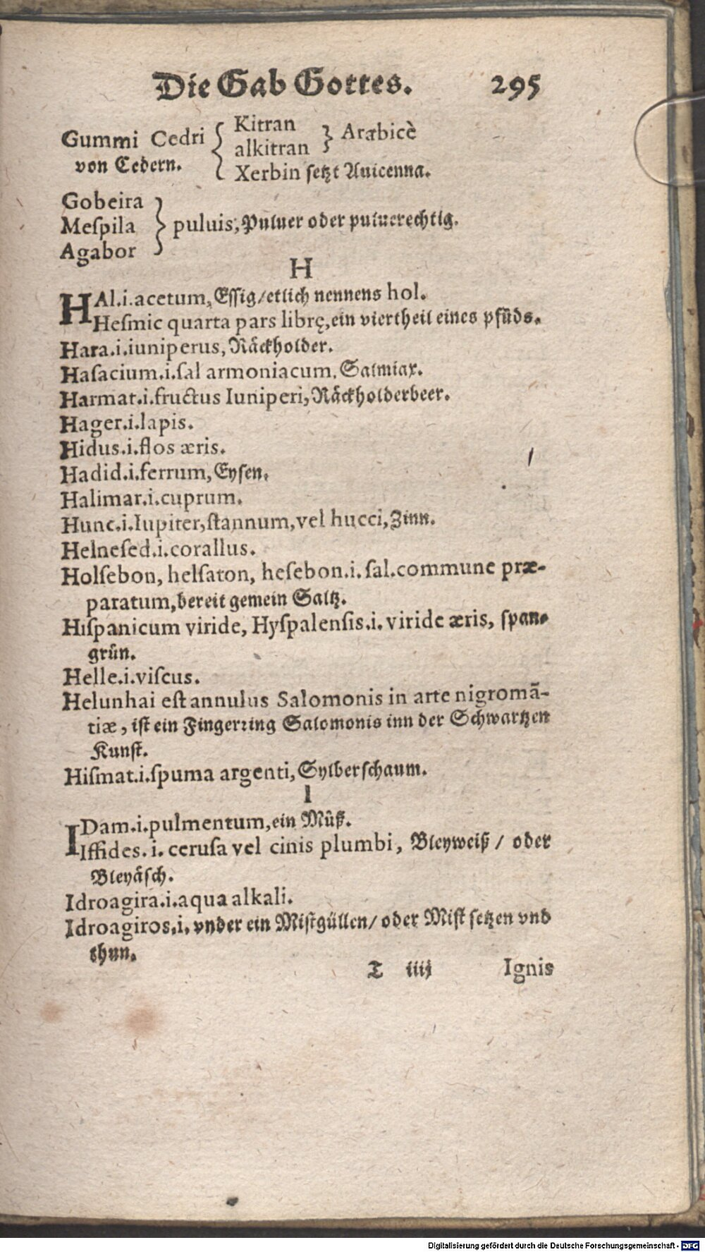 Image