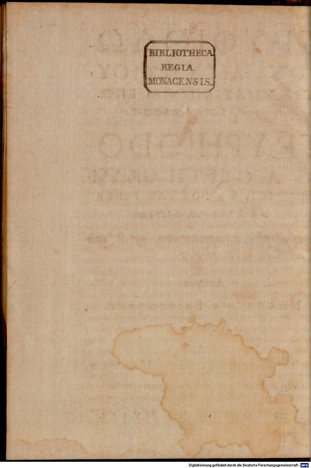 Image
