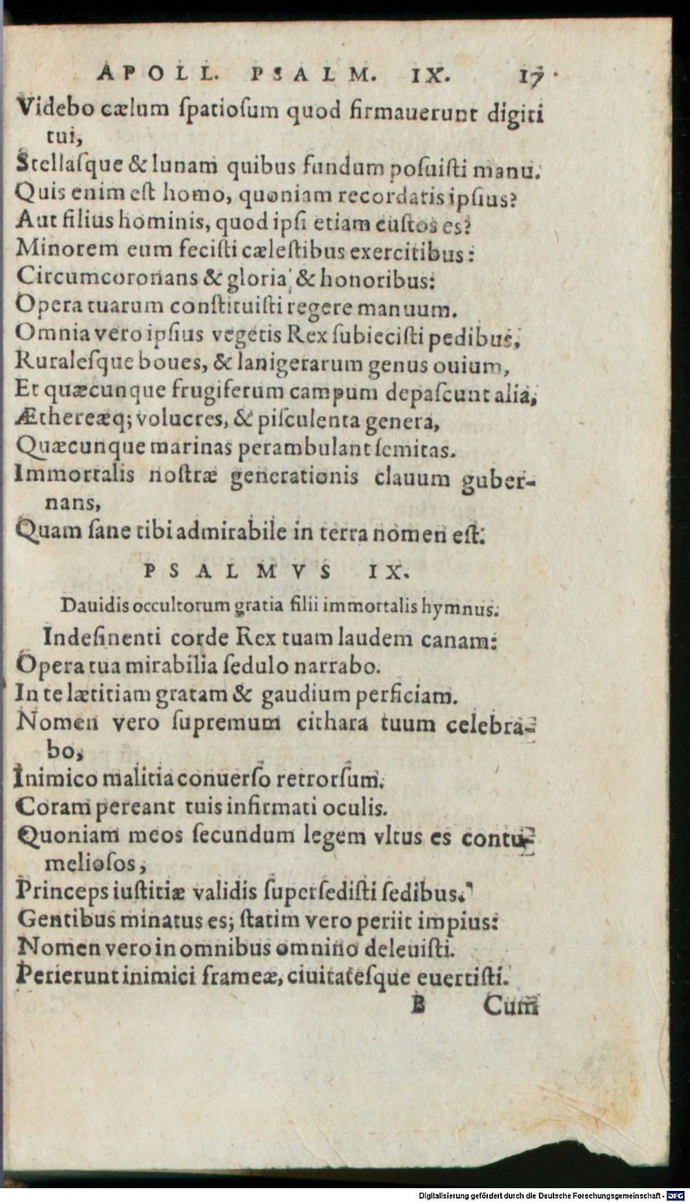 Image