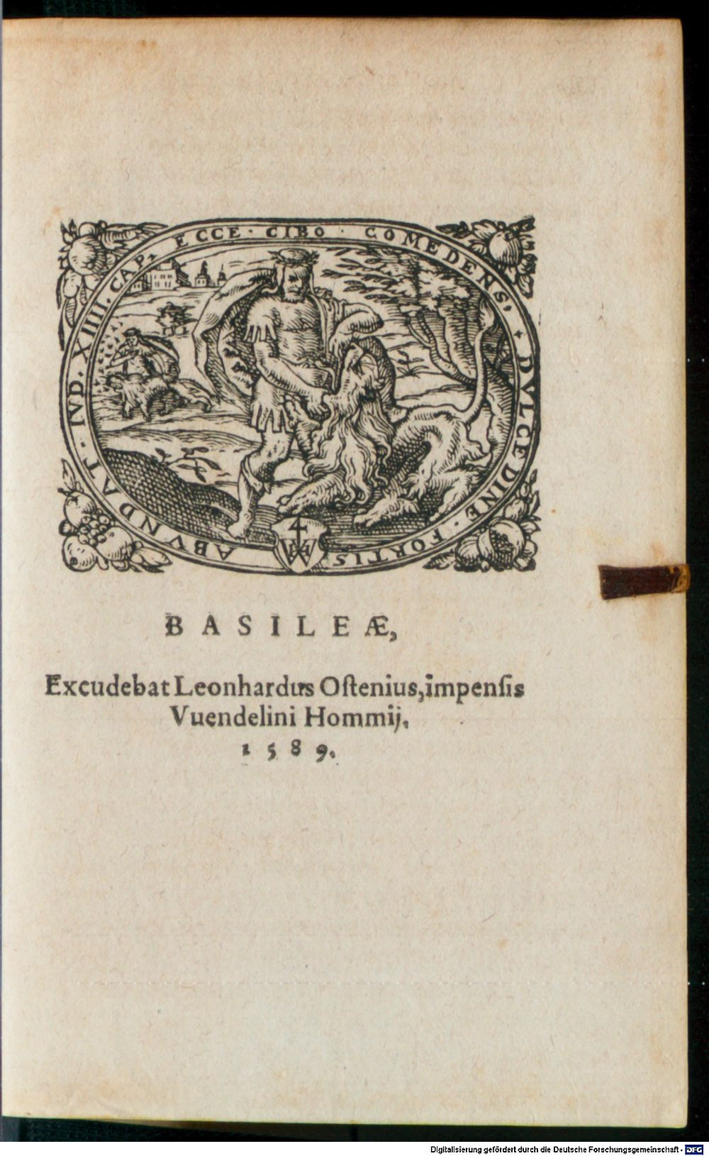 Image
