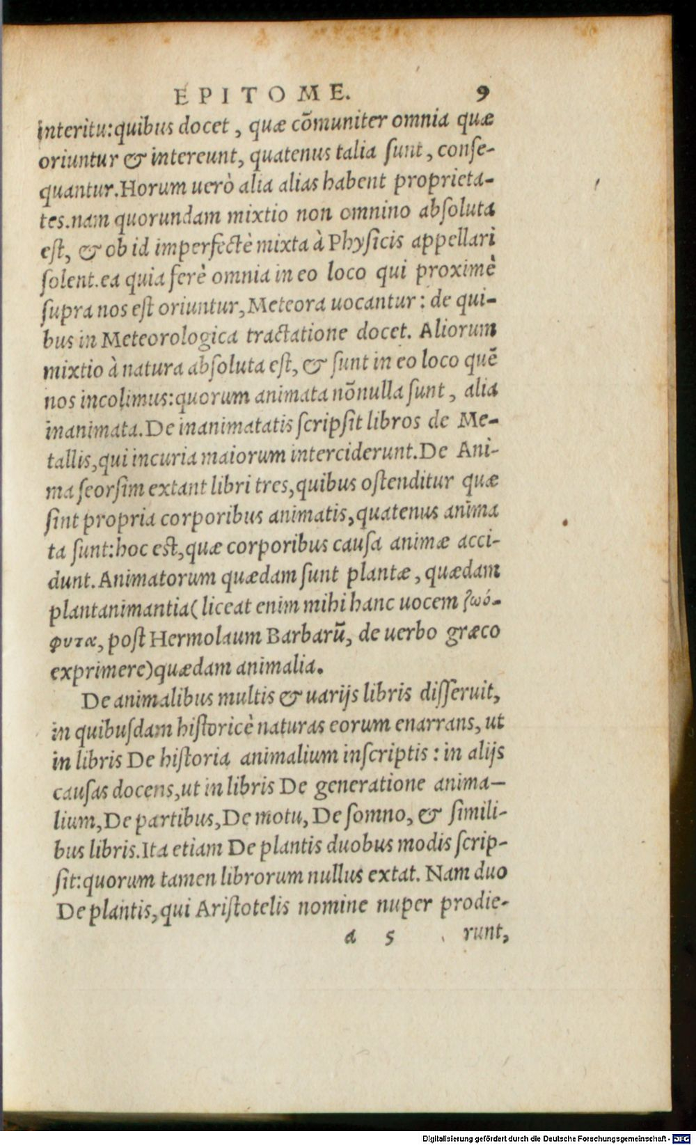 Image