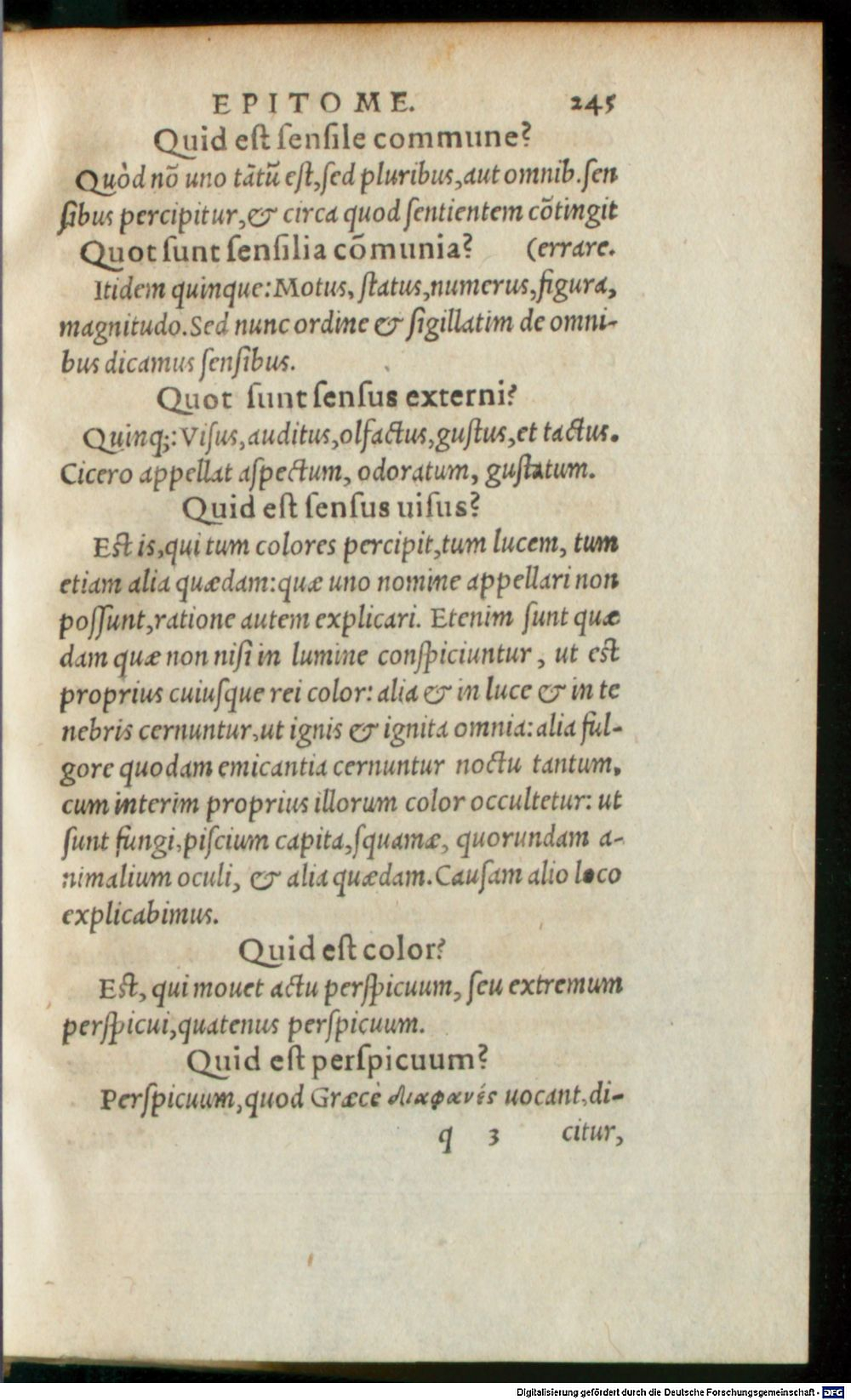 Image