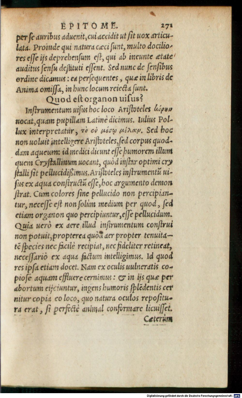 Image