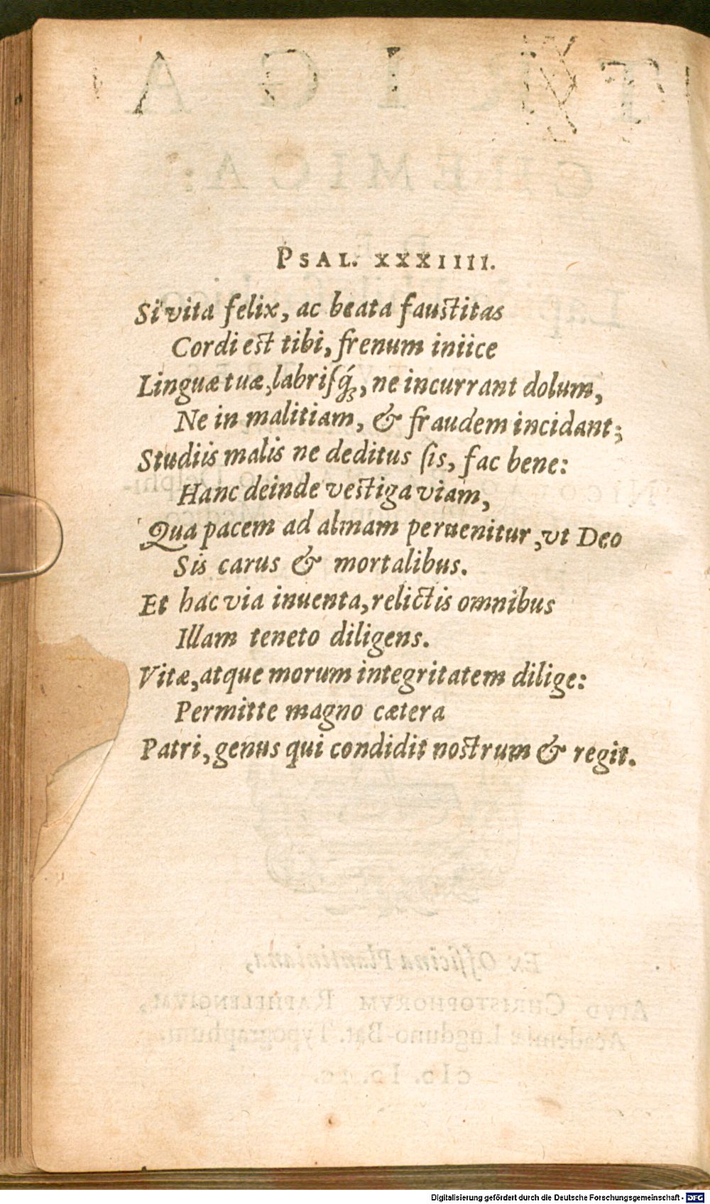 Image