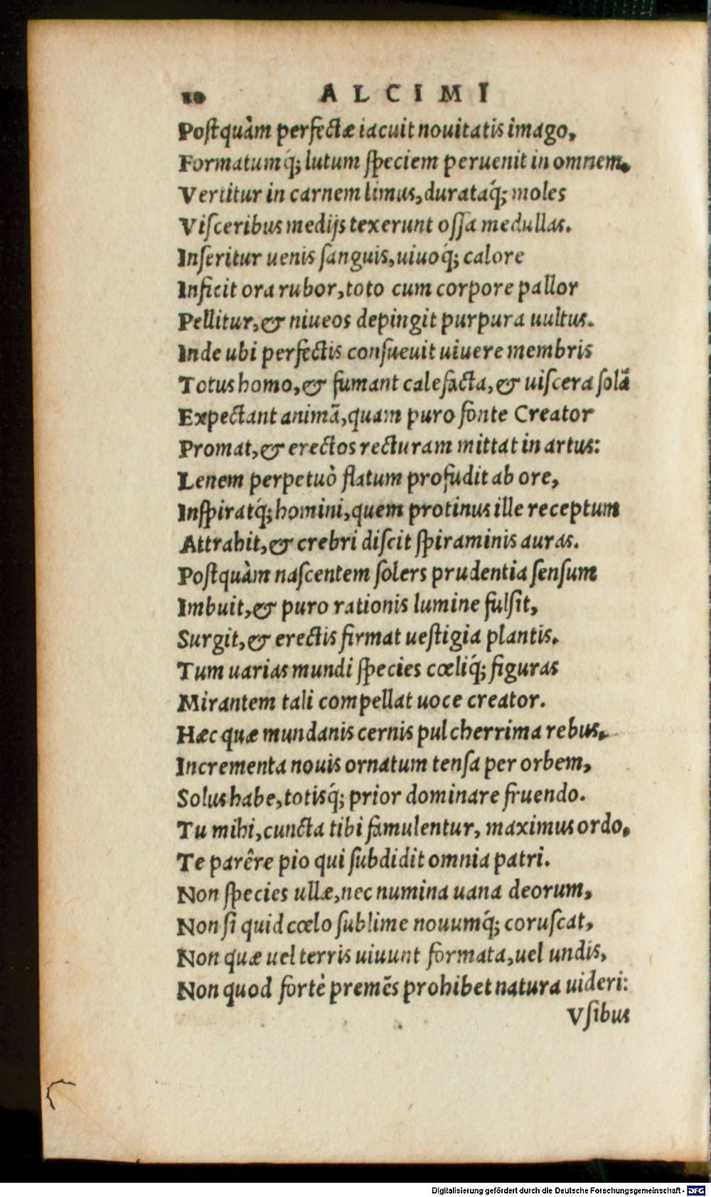 Image