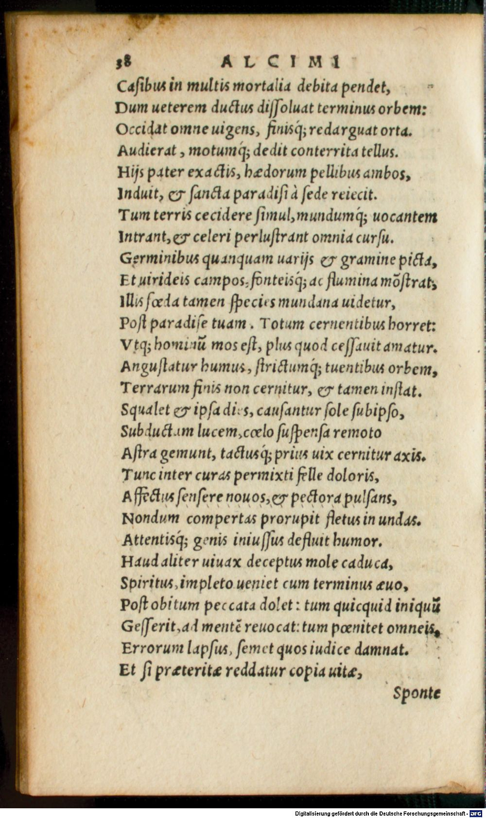 Image